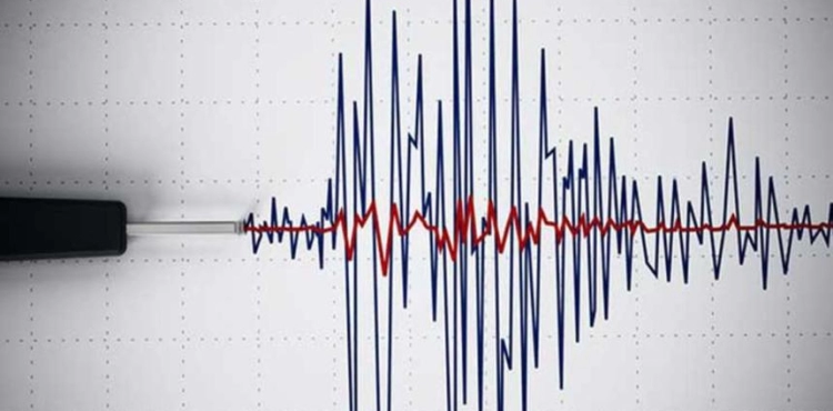 An earthquake measuring 6 on the Richter scale hits Argentina