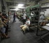 Federation of Industries: Close 520 factories and lay off thousands of workers in Gaza by 2019