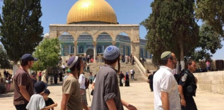 Endowments: Over 29,000 extremists have stormed Al-Aqsa Mosque since the beginning of the year
