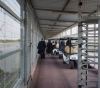 Report: The occupation authorities have prevented 58,850 patients from Gaza from traveling for treatment abroad since 2008