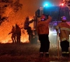 20 people killed in forest fires in Australia