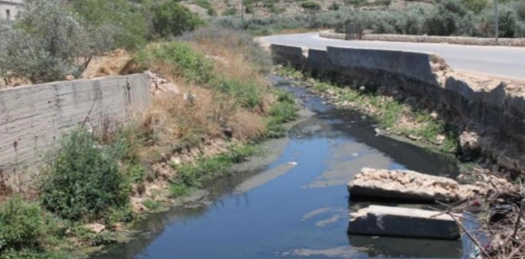 The settlers are pumping their wastewater in the valleys east of Qalqilya