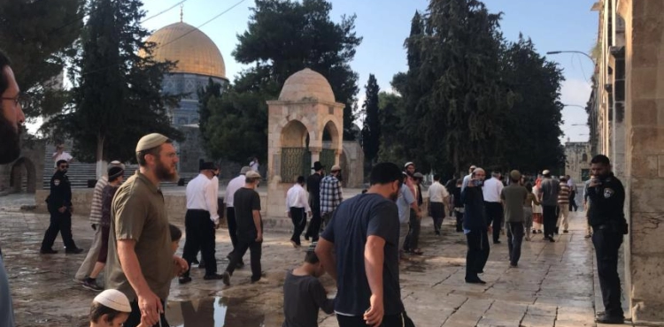 Settlement invitations to participate in the widespread storming of Al-Aqsa tomorrow