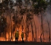 Charges against 180 people for arson