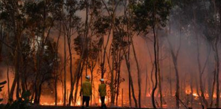 Charges against 180 people for arson