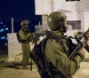 Occupation arrests 7 citizens from the West Bank, including a boy