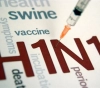 Health: 70 cases of swine flu and 5 deaths of people with chronic diseases since September