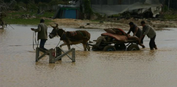 Houses drowned in Gaza neighborhoods due to heavy rains