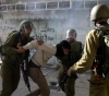 7 citizens, including two brothers and a boy, were arrested in the West Bank