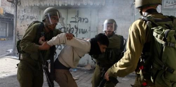 7 citizens, including two brothers and a boy, were arrested in the West Bank
