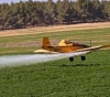 Occupation destroys eastern Gaza agricultural land by spraying it with pesticides
