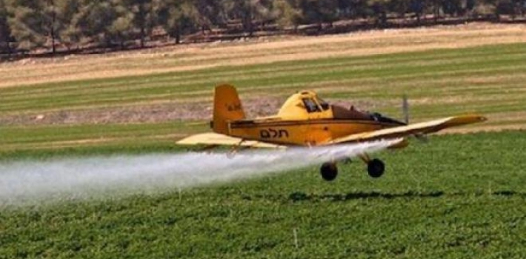 Occupation destroys eastern Gaza agricultural land by spraying it with pesticides