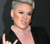American singer &quot;Pink&quot; celebrates her wedding anniversary in &quot;Motorcycle Picnic&quot;