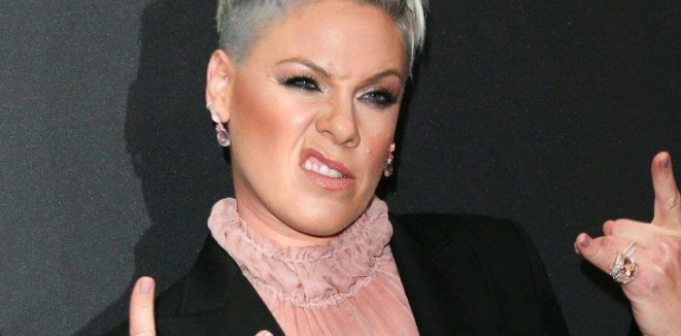 American singer &quot;Pink&quot; celebrates her wedding anniversary in &quot;Motorcycle Picnic&quot;