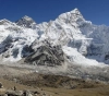 Herbs grow on Everest