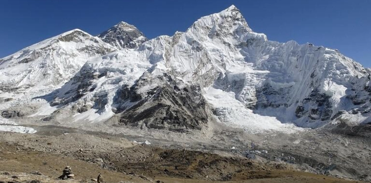 Herbs grow on Everest