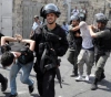 200 arrests by the occupation forces since the beginning of the year