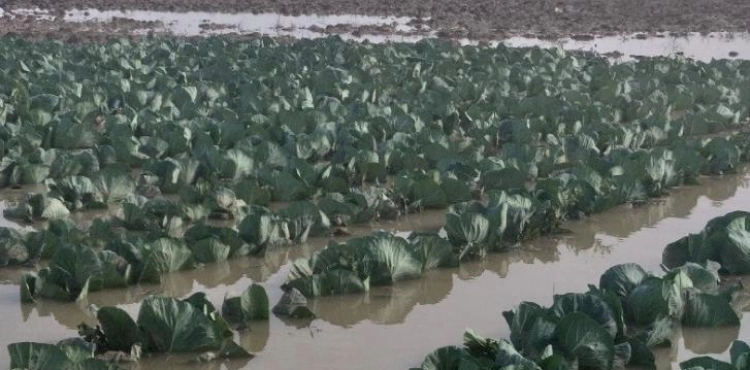 The occupation drowns hundreds of acres of land in eastern Gaza