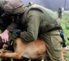 This is how the Israeli soldiers intentionally left a dog draining a boy&acute;s neck during the arrest!