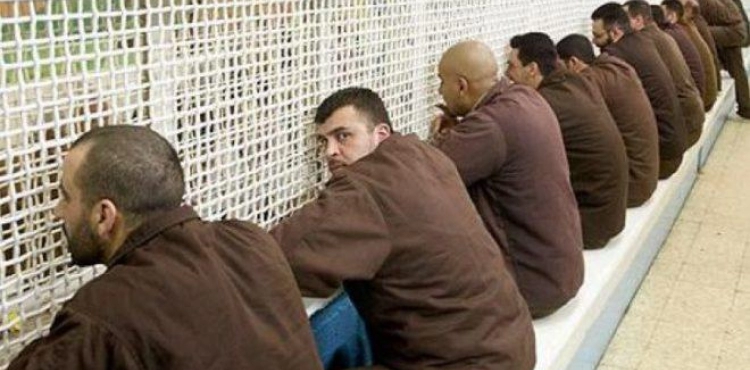 Ferwana: 540 Palestinian prisoners serving life sentences
