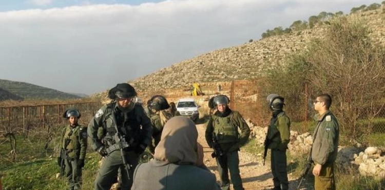 Report: The occupation government begins preparing to impose its sovereignty over the Jordan Valley and settlements