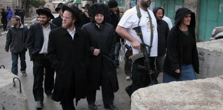 Settler tours of Hebron. Systematic violations and assaults to try to obliterate the identity of the place.