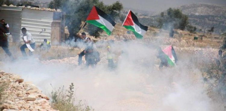 Choking injuries in Bil&acute;in march