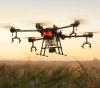 DJI develops a distinct drone to take care of agricultural crops