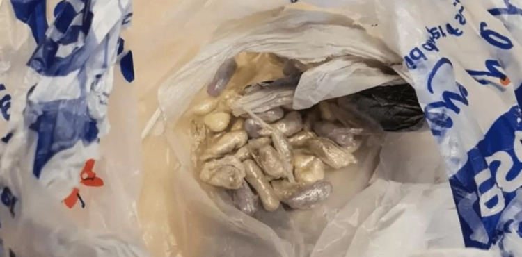 A cat left her home and returned with the strangest bag of drugs