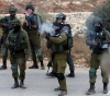 Dozens wounded in clashes with the occupation in the Jordan Valley