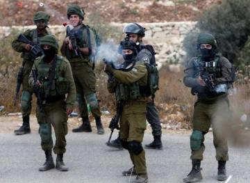 Dozens wounded in clashes with the occupation in the Jordan Valley