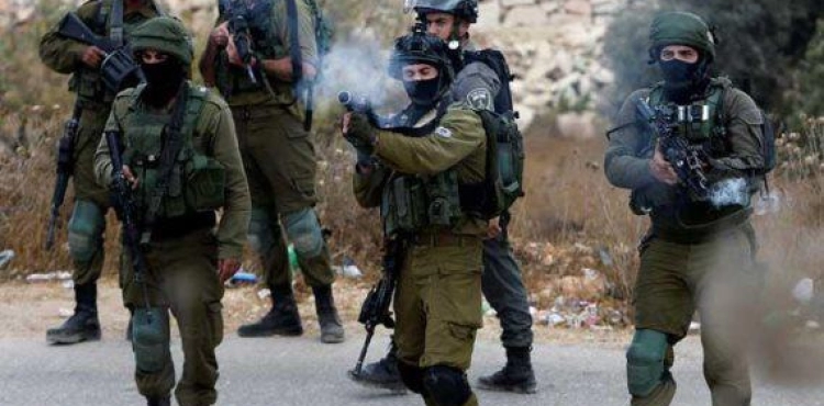 Dozens wounded in clashes with the occupation in the Jordan Valley