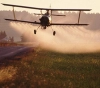 Protection of human rights: Pesticides sprayed by the occupation on agricultural lands in eastern Gaza are carcinogenic