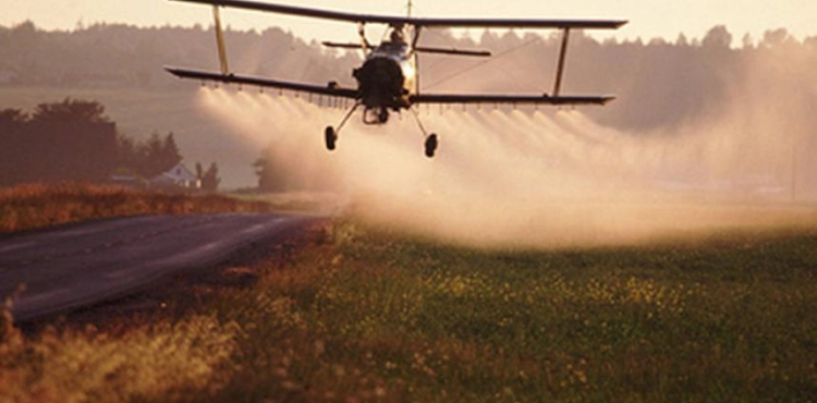 Protection of human rights: Pesticides sprayed by the occupation on agricultural lands in eastern Gaza are carcinogenic