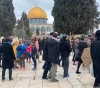 226 settlers break into Al-Aqsa Mosque