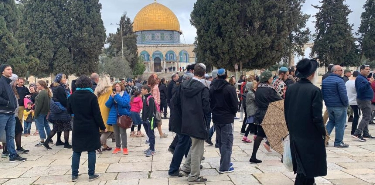 226 settlers break into Al-Aqsa Mosque