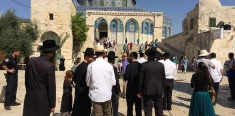 610 settlers stormed Al-Aqsa last week