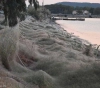 A mating ceremony for spiders turns a Greek lake into an abandoned vault.