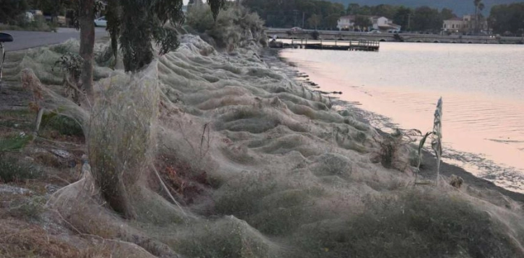 A mating ceremony for spiders turns a Greek lake into an abandoned vault.