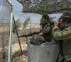 Occupation targets farmers and sheep herders on Gaza border