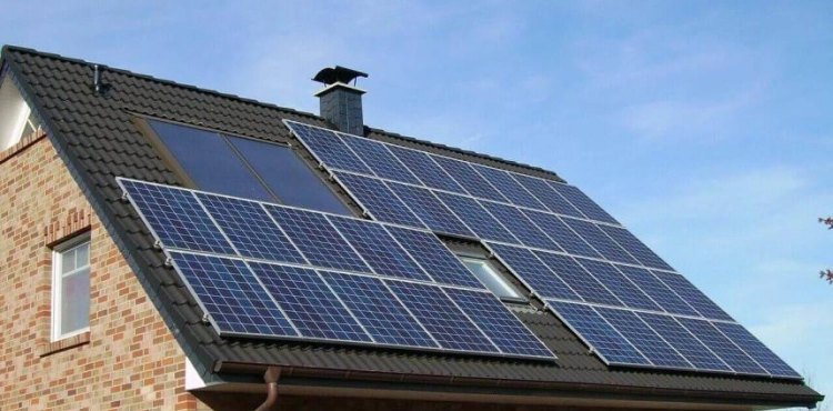 Enzymes extracted from tropical fruits enter the manufacture of solar cells