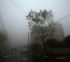 700 thousand dollars the losses of the agricultural sector in Gaza during the air depression