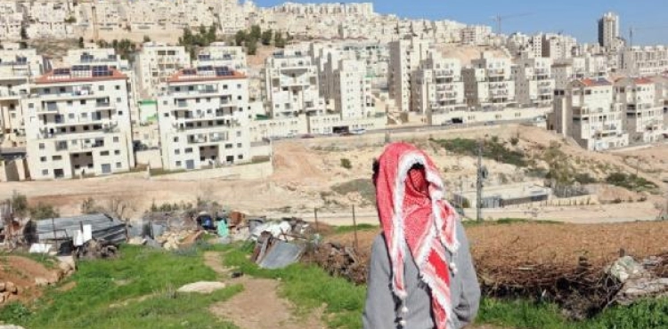 The Foreign Ministry calls for urgent international action to stop the annexation and execution of the Palestinians