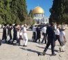 90 settlers Enter Al-Aqsa Mosque