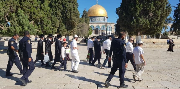 90 settlers Enter Al-Aqsa Mosque