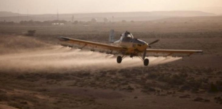 Occupation sprinkles harmful pesticides on agricultural land in Gaza