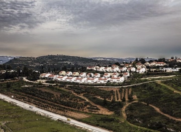 Settlers kidnap two young men from their lands in Koper to the settlement &quot;Hallamish&quot;