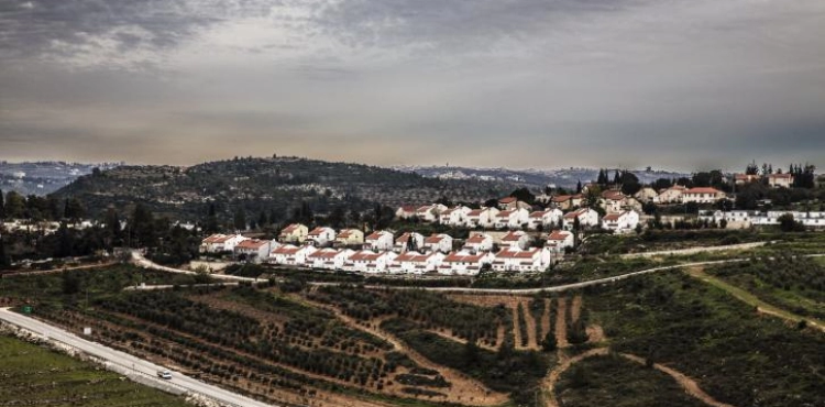 Settlers kidnap two young men from their lands in Koper to the settlement &quot;Hallamish&quot;