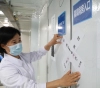 The latest developments in the spread of the emerging corona virus in the world