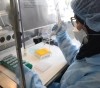 The latest developments in the spread of the emerging corona virus in the world